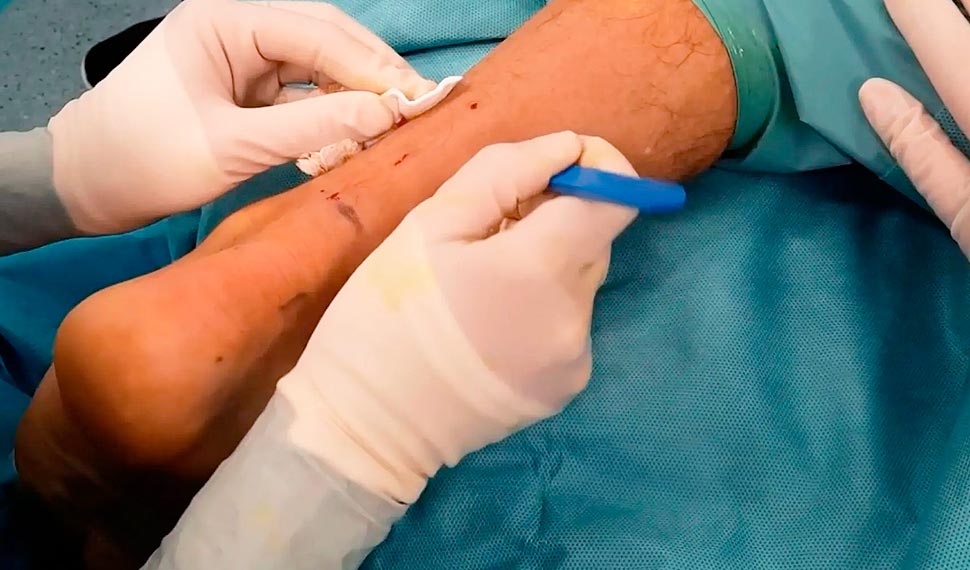 Our Project One Image 3